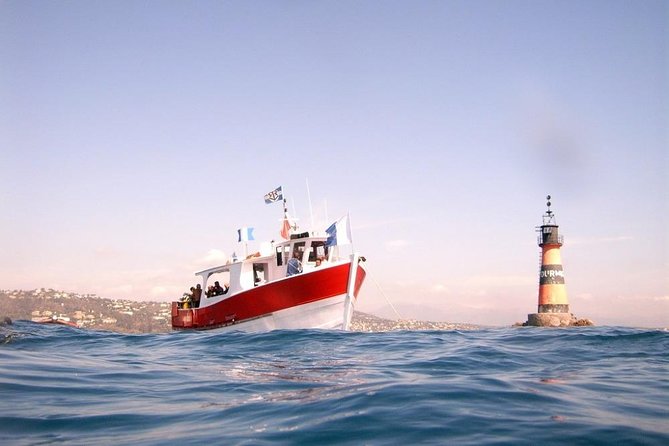 Snorkeling - by Boat on Site in the Bay of Cannes or Estérel - Cancellation Policy and Refunds