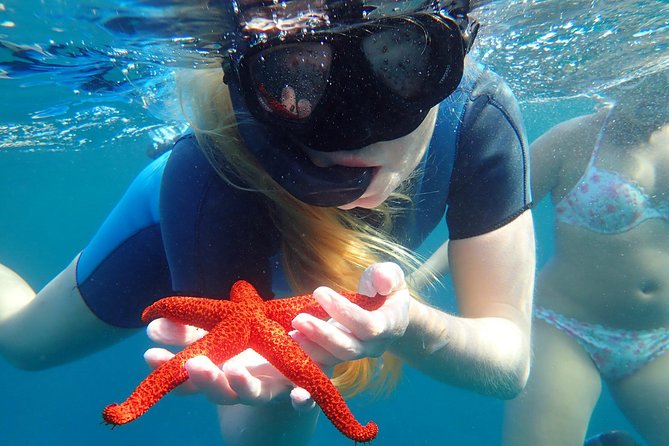 Snorkeling Excursion in Isla De Tabarca - Weather Considerations