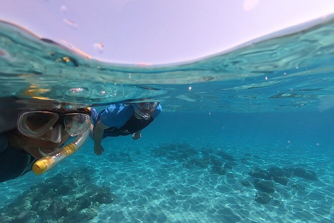Snorkeling Experience to Discover the Dolphin Inside You! - Safety Measures in Place