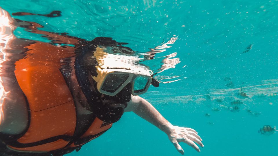 Snorkeling in Hikkaduwa - Booking Information