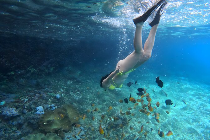 Snorkeling In Nusa Penida Departing From Bali Island - Last Words