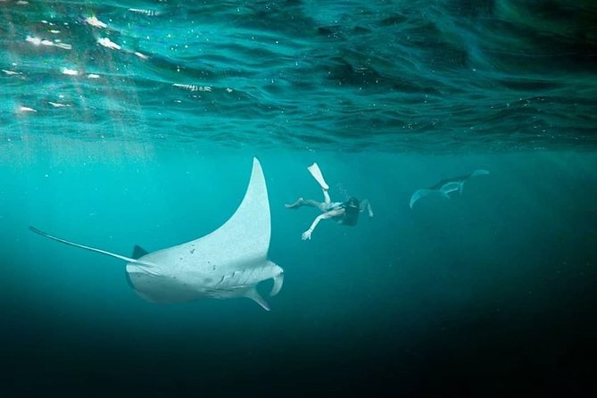Snorkeling Manta Ray Safari in Nusa Penida - Cancellation Policy Details