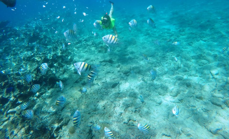 Snorkeling Tour & Sosua Beach Day - Location & Details