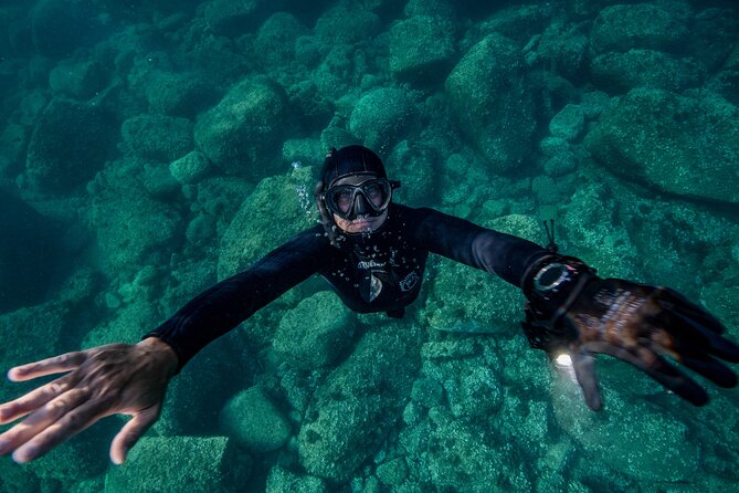 Snorkeling With Marine Biologist Expert From Sorrento - Customer Reviews and Feedback