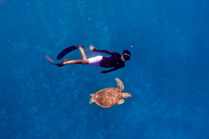 Snorkeling With Turtle and Statue in Gilis - Exploring Underwater Statues