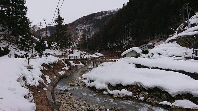 Snow Monkey, Shiga Kogen Roman Museum With Lunch Buffet - Cancellation Policy