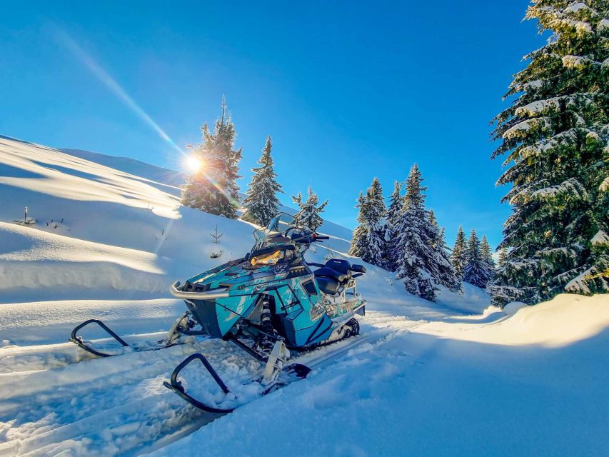 Snowmobile Tour In Bucegi Mountains - Additional Information