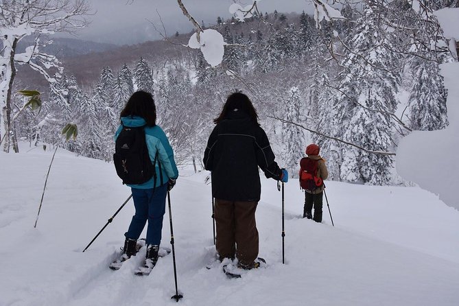 Snowshoe Hike Tour From Sapporo - Guide Sumis Excellence