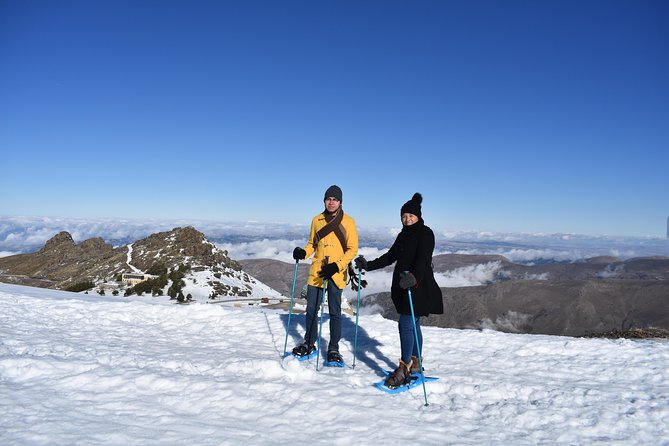 Snowshoe Hiking in Sierra Nevada (Granada) - Wildlife Spotting Opportunities