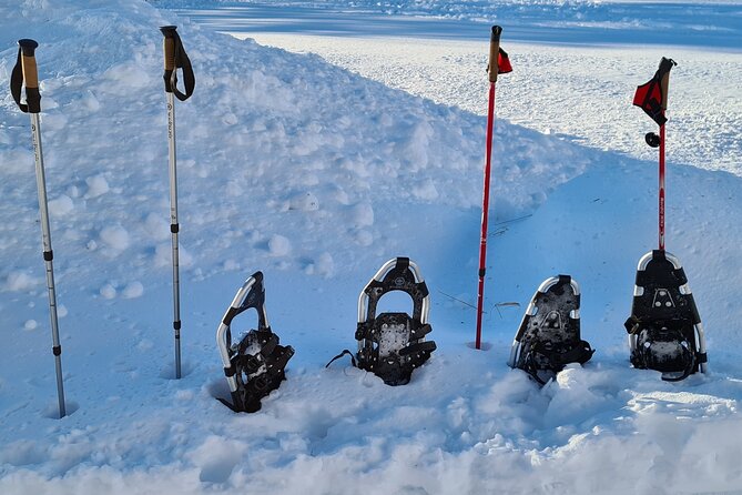 Snowshoes Hike in Lofoten - Common questions