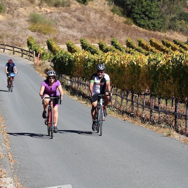 Sonoma County: Wine Tasting and Biking in Healdsburg - Winery Visits