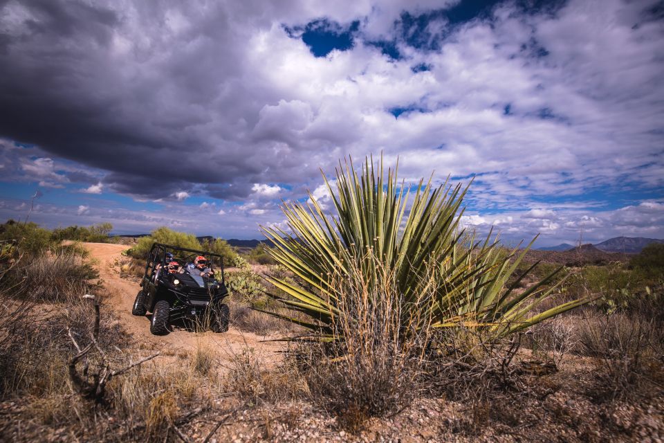 Sonoran Desert: Guided 2-Hour UTV Adventure - Adventure Highlights