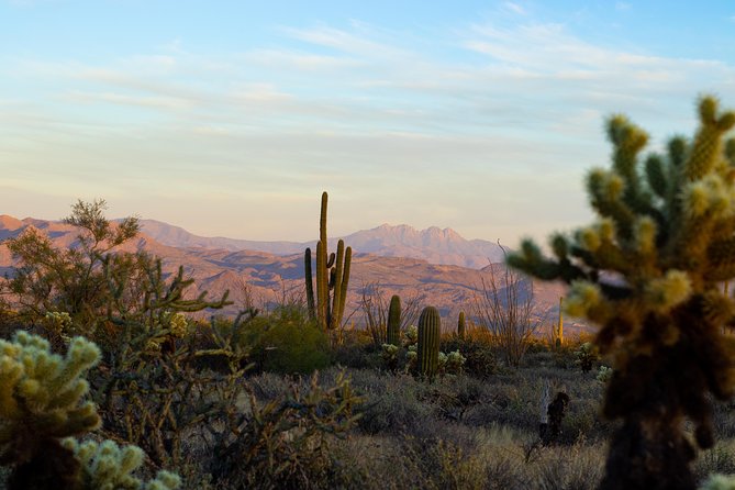 Sonoran Desert Jeep Tour at Sunset - Customer Reviews and Booking Information