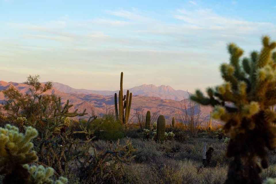 Sonoran Desert: Sunset Jeep Tour With Tonto National Forest - Product Information and Location Details