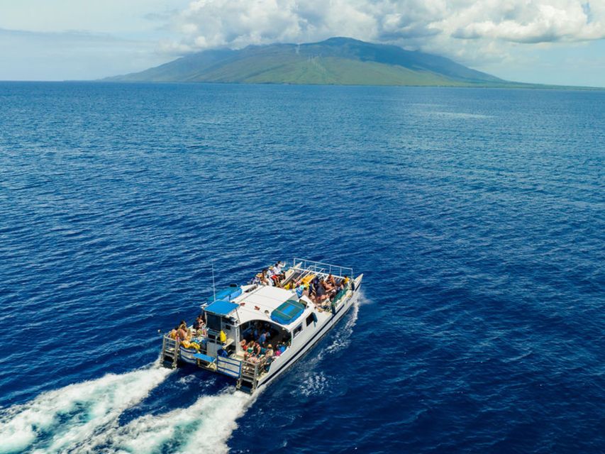 South Maui: Molokini and Turtle Town Snorkeling Tour - Customer Reviews