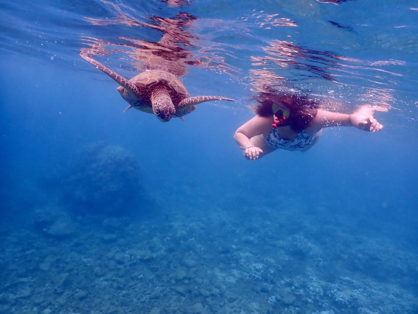 South Maui: Molokini Crater and Turtle Town Snorkeling Trip - Additional Information