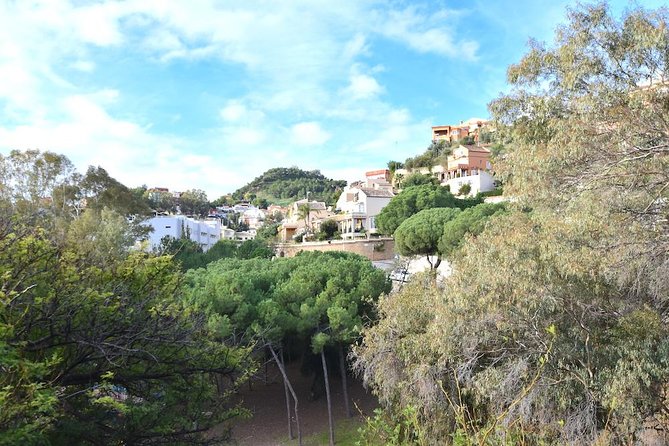 Spanish Civil War Private Walking Tour in Malaga - Historical Insights