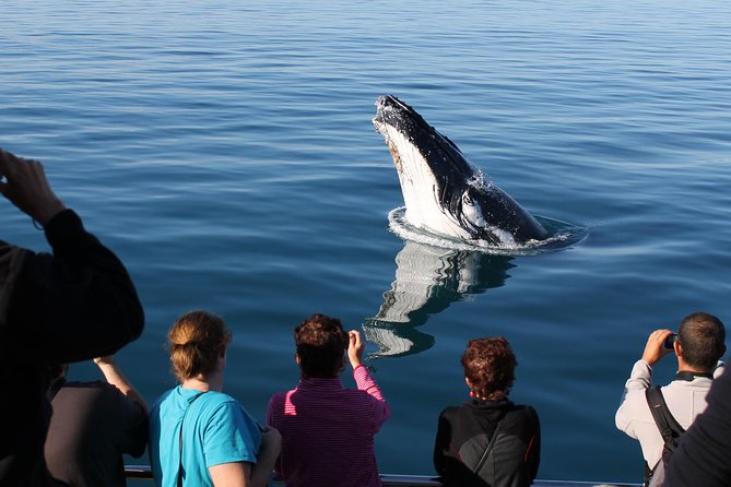 Spirit of Hervey Bay Whale Watching Cruise - Boat Features and Crew Experience