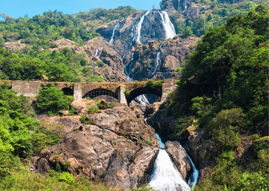 Spirituality of Goa With Dudhsagar Fall Day Tour by a Car - Common questions