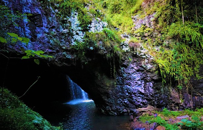 Springbrook National Park Shared Waterfalls Tour  - Surfers Paradise - Key Details