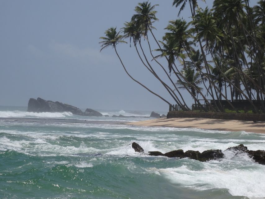 Sri Lanka South Coast Beach, Sinharaja, Udawalawe Safari - Costs and Inclusions
