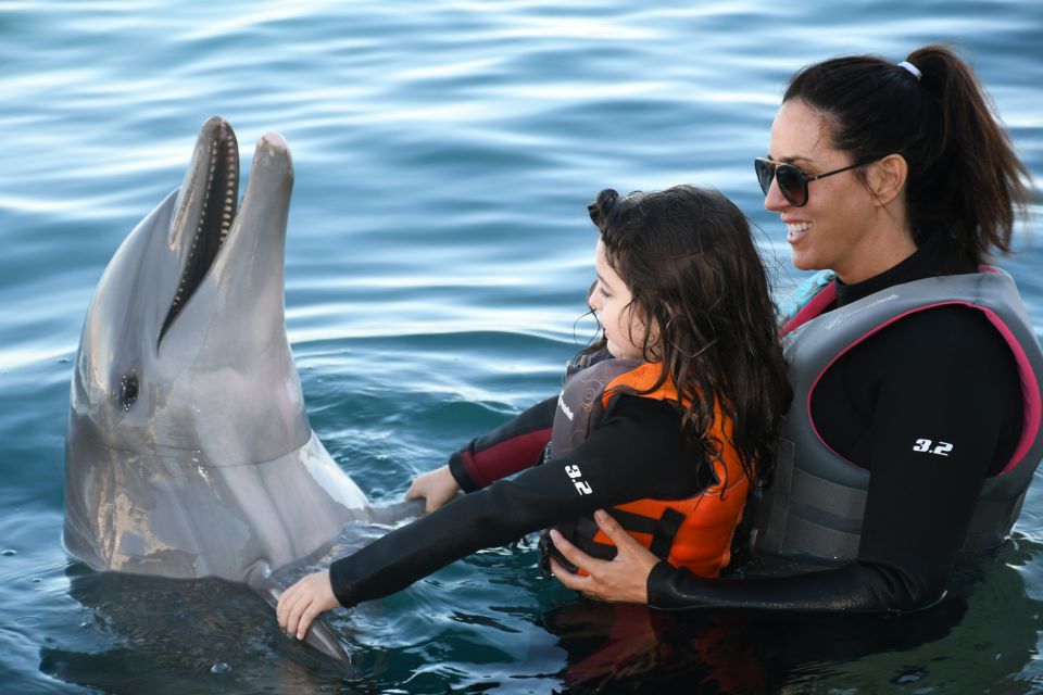 St. Augustine: Marineland Dolphin Encounter - Overall Rating and Feedback