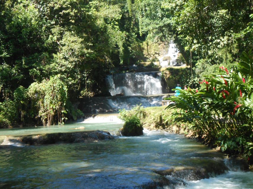 St Elizabeth: River Safari and Y.S. Falls With Lunch - Last Words