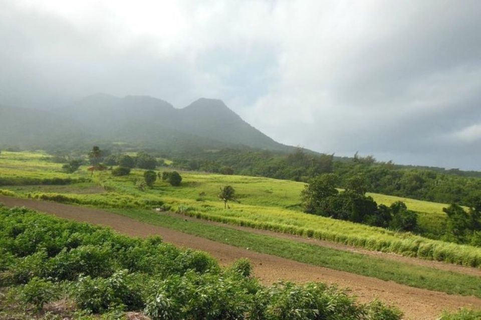 St Kitts: Jungle Bikes Off-Road ATV Tour - Common questions