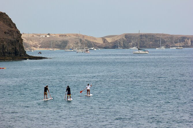 Stand Up Paddle Boarding Lesson in Playa Flamingo - Common questions