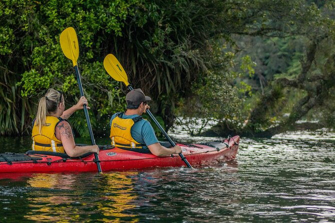 Starlight Gourmet Kayak Experience - Rotorua - Traveler Information and Photos