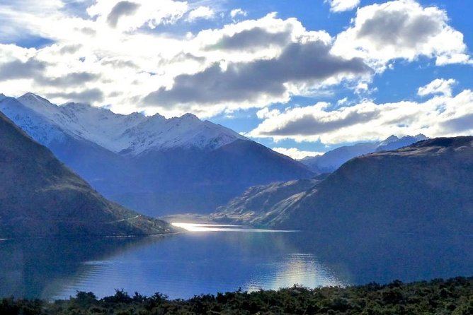 Stevensons Island Cruise and Nature Walk From Wanaka - Insider Tips