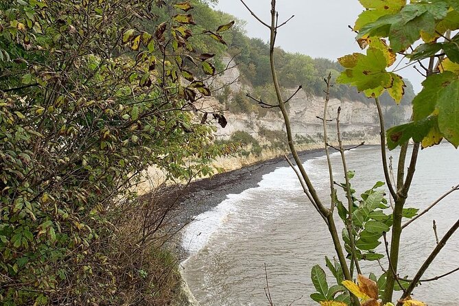 Stevns Klint World Heritage and Stevnsfort Day Tour in Copenhagen - Specific Tour Highlights