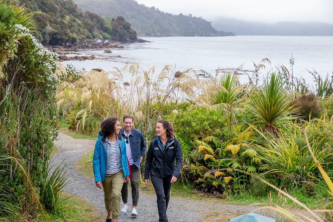 Stewart Island: Village and Bays Tour - Walks Along the Route