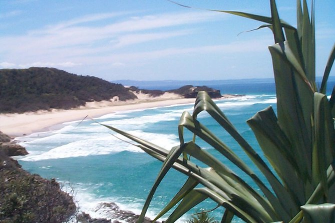 Stradbroke Island 4WD Day Trip From Brisbane - Guide and Activities