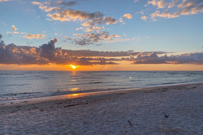 Sunset and Glow Clear Kayak Tour in North Naples - Cancellation Policy