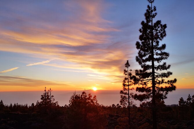 Sunset and Stargazing From Teide - Wildlife and Nature at Teide