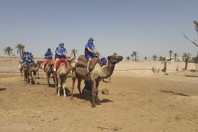 Sunset Camel Ride in the Palmeraie With Transfers - Support and Additional Information