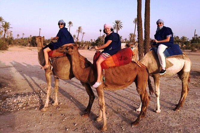 Sunset Camel Ride Tour in Marrakech Palm Grove - Customer Reviews