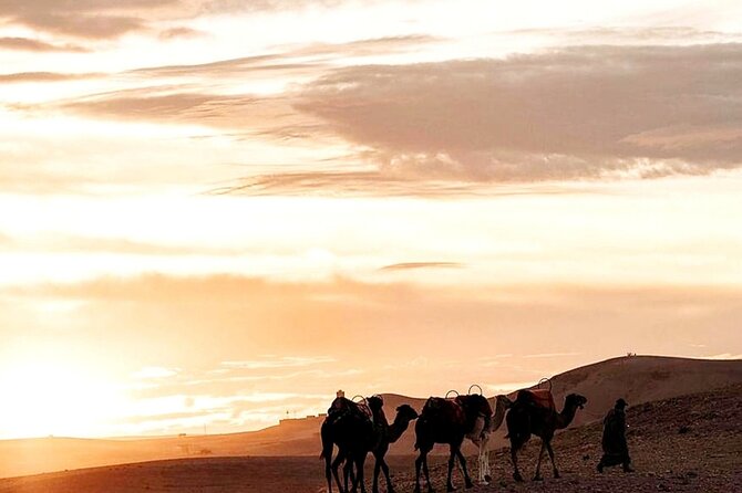Sunset & Dinner in Desert Agafay Marrakech With Camels - Customer Support Information