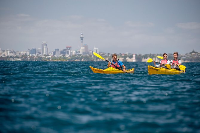 Sunset Kayak Tour to Rangitoto Island - Reviews and Recommendations