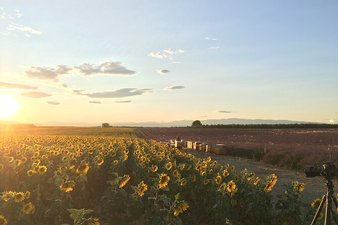 Sunset Lavender Tour From Aix-En-Provence - Overall Satisfaction and Recommendations
