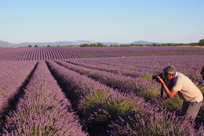 Sunset Lavender Tour in Valensole With Pickup From Marseille - Lavender Fields and Distillery Visit