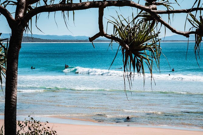 Sunshine Coast Hinterland and Noosa Day Trip From Brisbane Incl Eumundi Markets - Additional Information