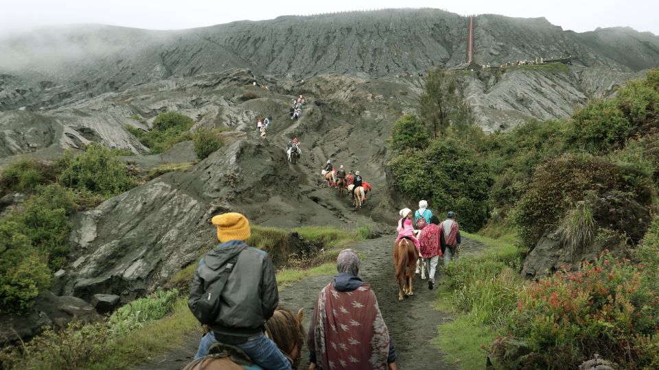 Surabaya / Malang: Bromo Sunrise, Ijen, Bali 2 Days Tour - Restrictions and Climbing Requirements