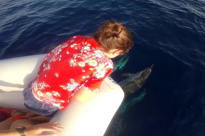 Sustainable Dolphin Watching Tour With Marine Biologist (Mar ) - Customer Reviews