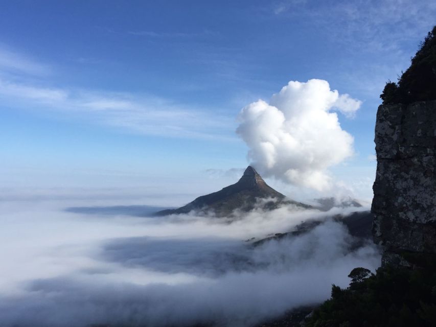 Table Mountain: Gentle Guided Meander for the Whole Family - Booking and Contact Details