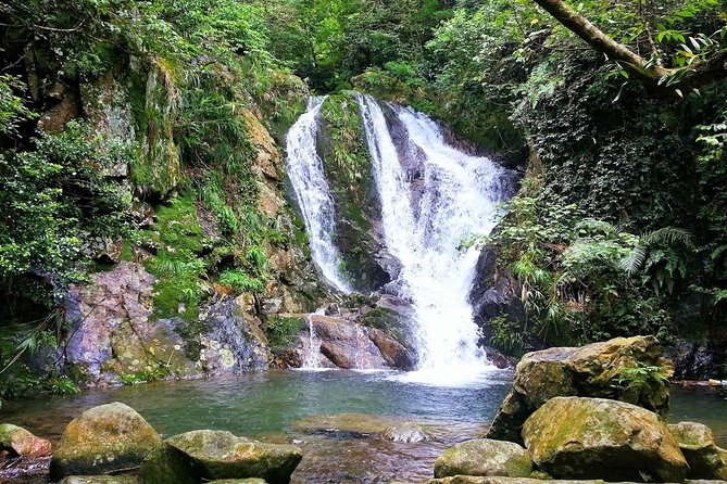 Tai Mo Shan Waterfall Adventure Hike - Common questions