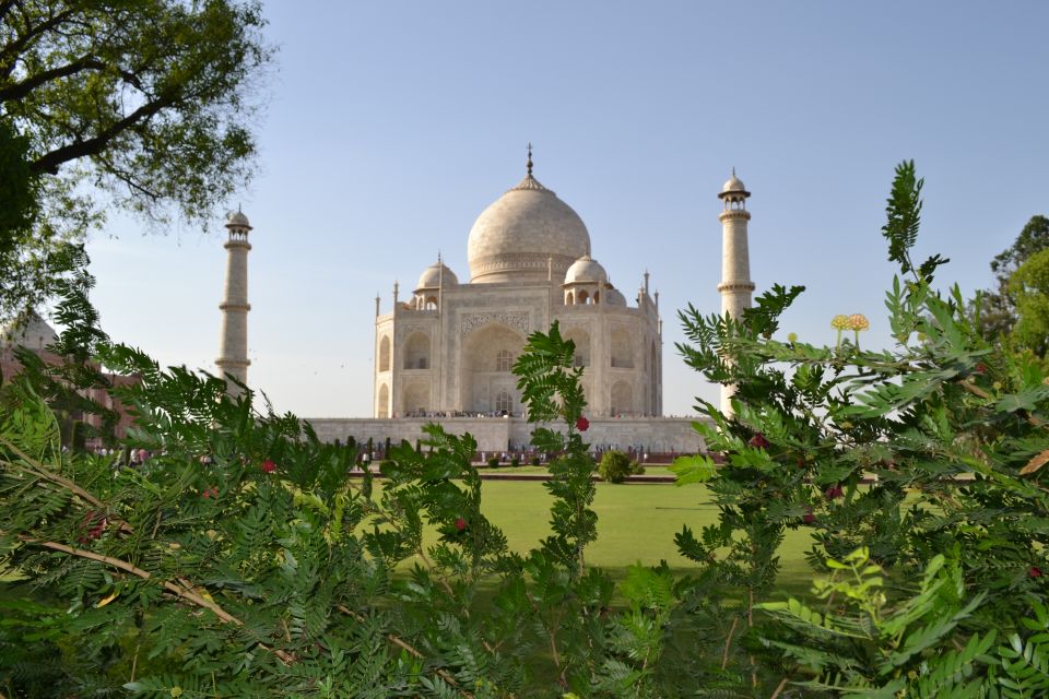 Taj Mahal, Agra: Sunrise Tour From New Delhi by Car - Highlights