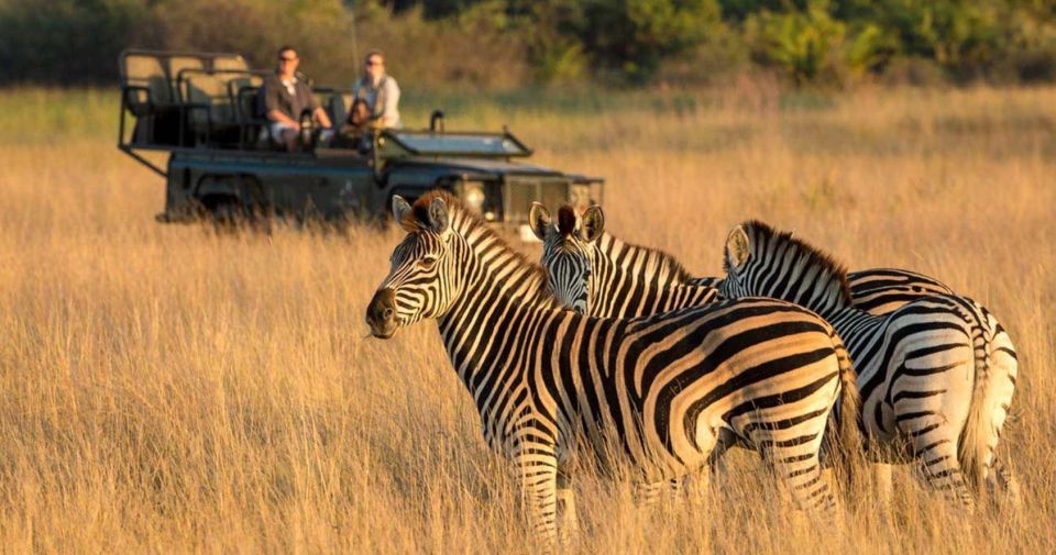 Tala Game Reserve & Natal Lion Park 1/2 Day Tour From Durban - Transportation Details