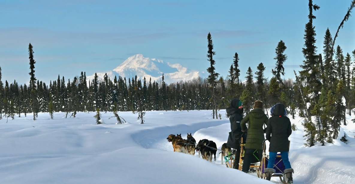 Talkeetna: Winter Dog Sled Tour Morning or Night Mush! - Customer Reviews